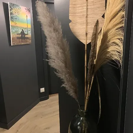 La L'escale, Somptueuse Maison Contemporaine * Angoulême